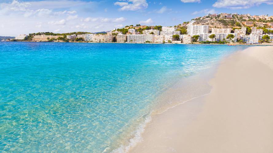 Plans to enjoy Mallorca in spring Reverence Hotels Plans to enjoy Mallorca in spring Reverence Hotels