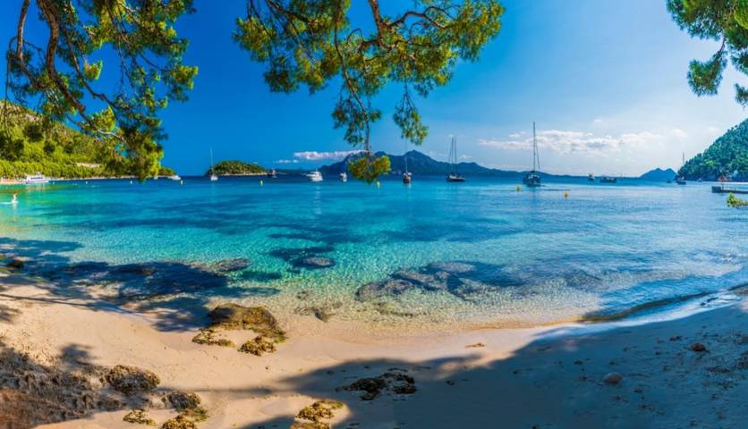 TripAdvisor users choose Majorca as the world's best destination for 2022 Reverence Hotels TripAdvisor users choose Majorca as the world's best destination for 2022 Reverence Hotels