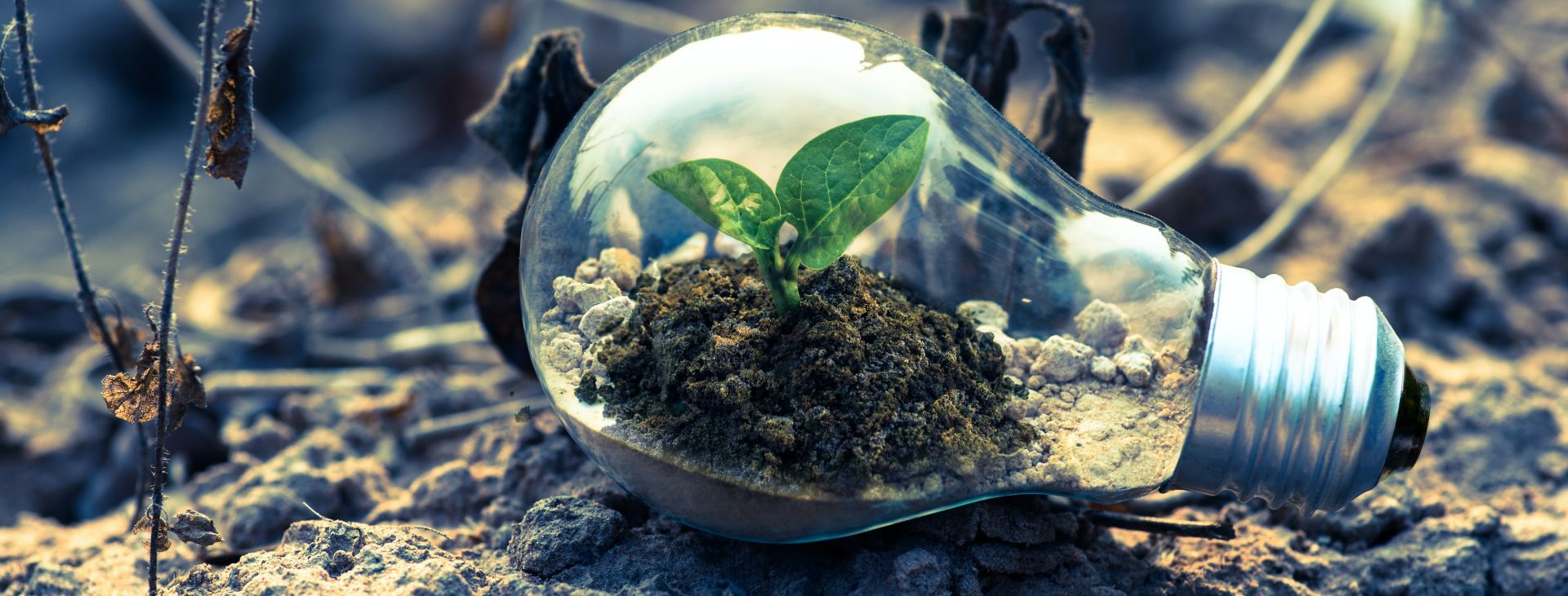 Compromiso ambiental Reverence Hotels