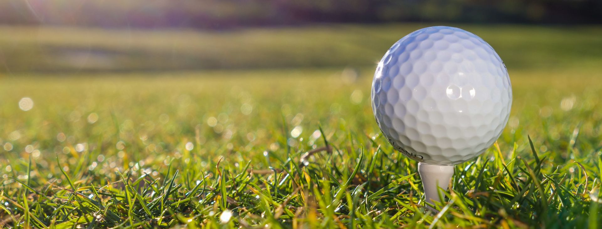 Sports Reverence Hotels Sports Reverence Hotels